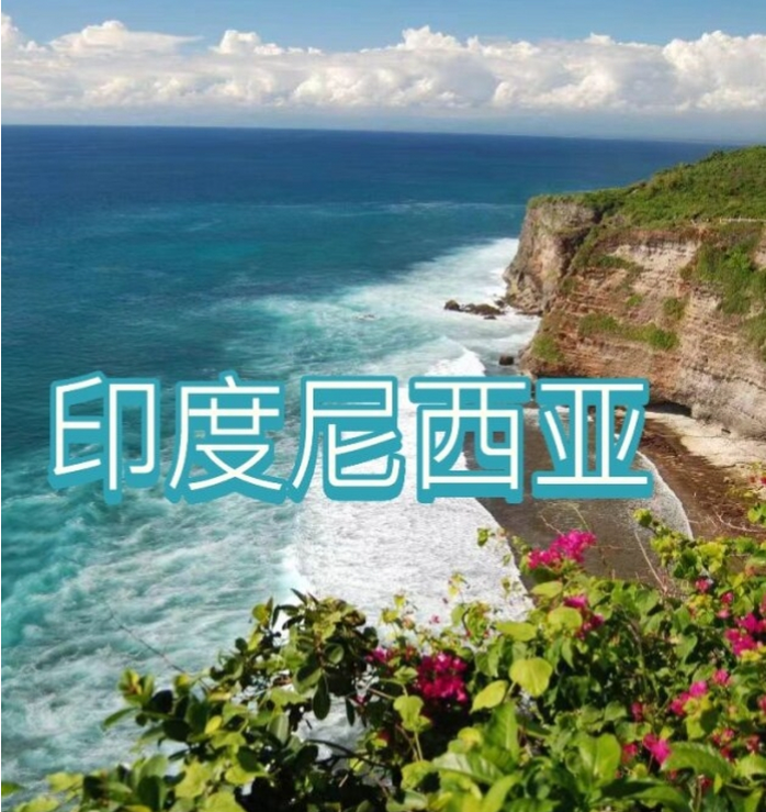 际电商(印尼)产业博览会不朽情缘2025中国国(图2)